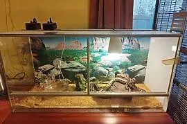 Terrarium z