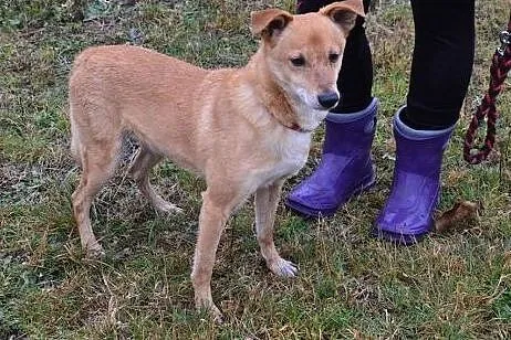 Przyjazny Ero wypatruje swojego człowieka, który s