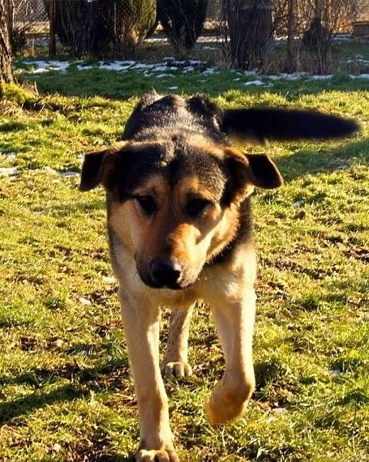 Pluto wciąż czeka..., dolnośląskie Jelenia Góra