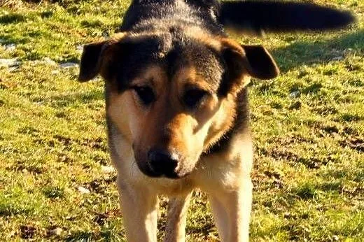 Pluto wciąż czeka...,  dolnośląskie Jelenia Góra