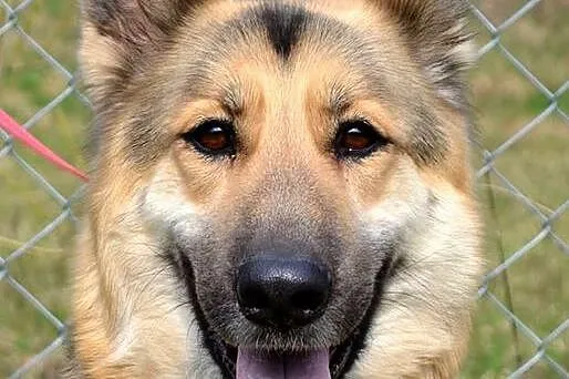 Mięta :)