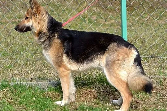 Mięta :)