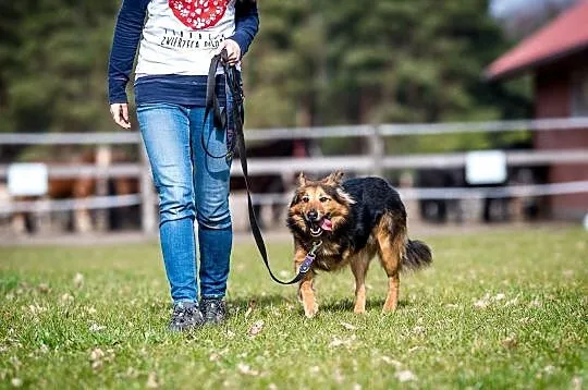 Serek wciąż czeka na swojego człowieka, Mazowieckie, Warszawa