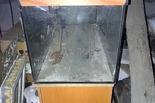 Akwarium, Wielkopolskie, Helenów Pierwszy