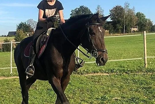 sprzedam klacz sp do towarzystwa lub sportu, Małopolskie, Kęty