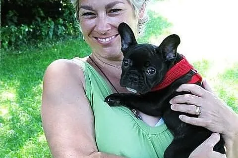 Buldogi Francuskie Szczeniaki Buldozki Buldog Rozn