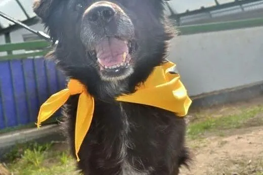 Ewan.Wciąż zadaje sobie pytanie: kiedy znajdę dom?