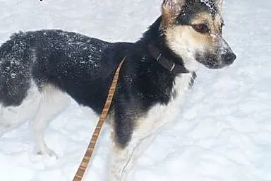 Piękna Karmen czeka na prezent życia...,  małopols