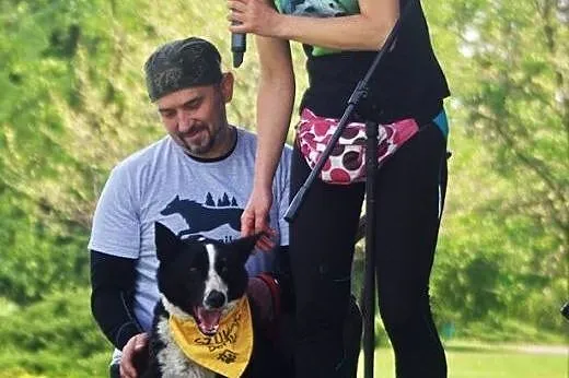 Karolek szuka domu - cudowna ŁAJKA do adopcji,  Ku