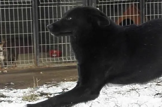 Daj mi cierpliwy i kochający domek gdzie będę szczęśliwy, Wielkopolskie, Poznań
