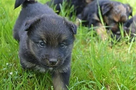 Otwórz serce przed maleństwem porzuconym na ulicy!