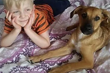 Adoptuj OLAFA a znajomi zzielenieją z zazdrości , 