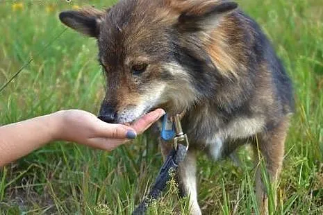 Proszę, daj mi dom, jakiego nigdy nie miałam...,  