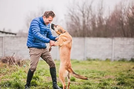 Potrzebny domek dla wyjątkowej suni w typie malino