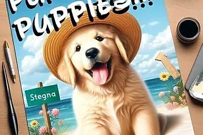 Szczeniak / piesek Golden Retriever Związek Kynologiczny FCI