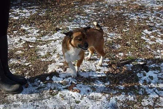 Denzel- najpierw dokarmiany a później niepotrzebny