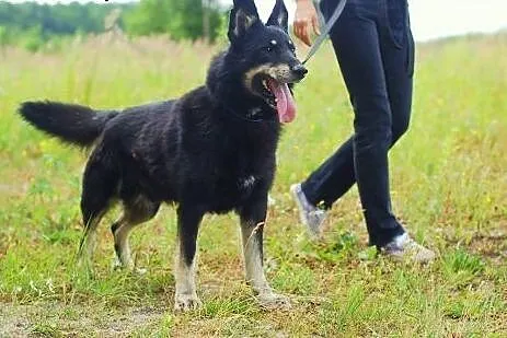 Adoptuj ! :) ,  Kundelki cała Polska