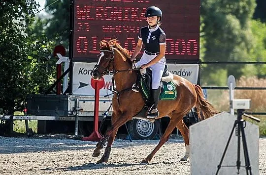 Przyszłościowy Kuc do sportu, , Książ