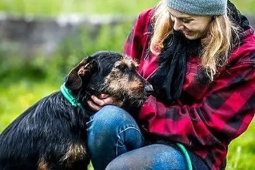 Dżager: radosny i żywiołowy - do adopcji gotowy!, 