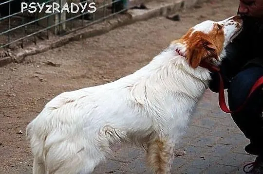 PARYS - piękny jak z obrazka