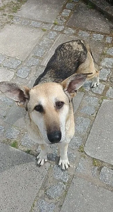 Dotyk czuły, serce wielkie to jest CZAKRY szczęście niepojęte, Mazowieckie, Warszawa