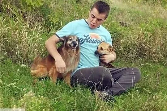 Marzę o domku gdzie będę kochany i doceniany adoptuj mnie, Wielkopolskie, Poznań