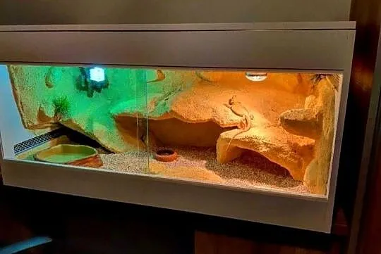 Terrarium profesjonalne dla żółwia greckiego agamy brodatej