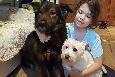 Młody, kochany Syzyf do adopcji. Filmiki,  łódzkie Łódź