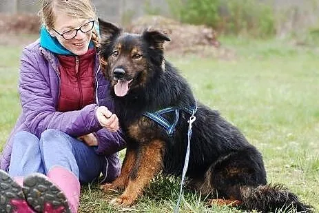 Młody, kochany Syzyf do adopcji. Filmiki,  łódzkie