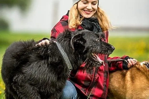 KAJ - on zadba o Twój dobry nastrój!,  świętokrzys