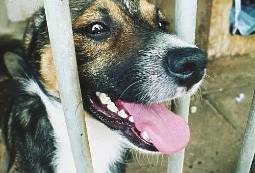 Henio ma tylko czas do końca czerwca!!!, wielkopo