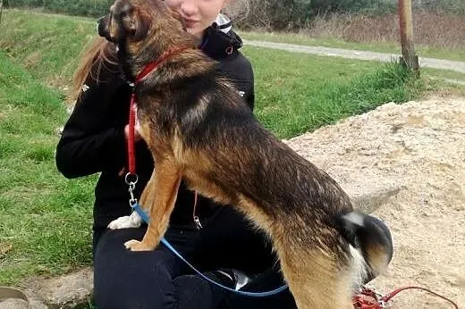 Henio ma tylko czas do końca czerwca!!!,  wielkopo