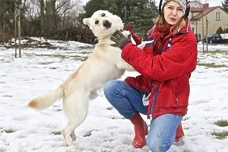 Bardzo dobrze wychowany pies z FENDERA jest :),  m