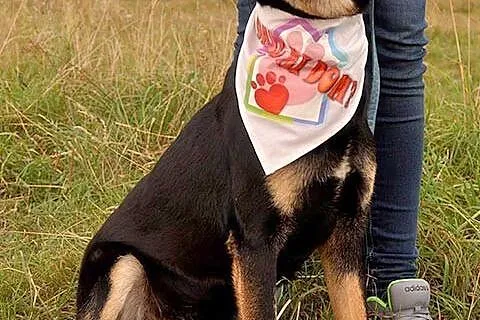 Młody, żywiołowy, kochający dzieci Niko o cudownym