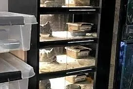 Rack system, regał terrarium węże jaszczurki, Śląskie, Rybnik