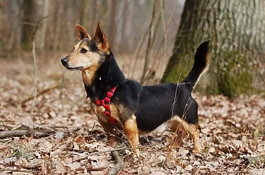 Uwielbiam ruch na świeżym powietrzu w towarzystwie człowieka, , Wrocław