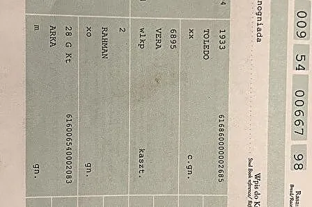 Wyjątkowa 10 letnia klacz, 164 cm, Śląskie, Będzin