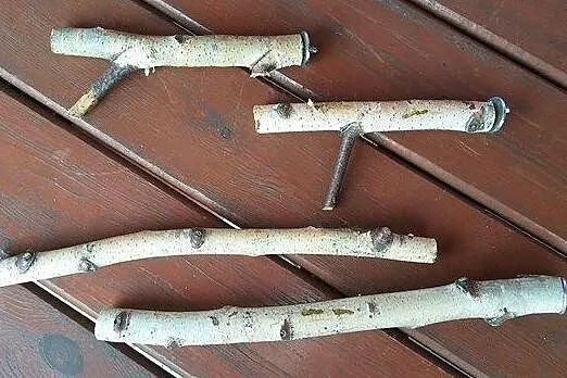 Naturalne brzozowe żerdzie dla papug z wymianą w domu klienta, Śląskie, Ruda Śląska