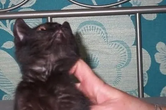 Maleńki trzymiesięczny Filipek