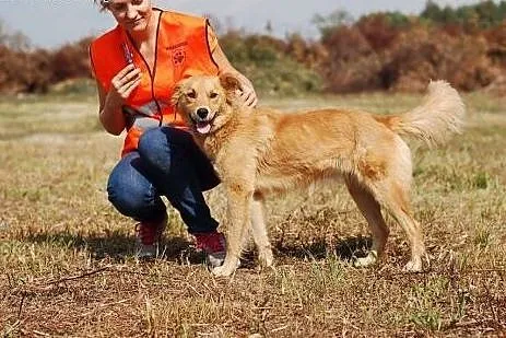 Melisa - śliczna roczna sunia ,  łódzkie Skierniew