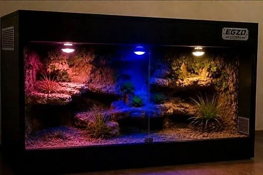 Terrarium dla żółwia greckiego agamy brodatej gekona lamparciego