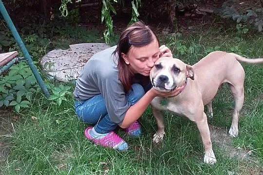 Młoda, przyjazna i grzeczna Liza – AMSTAFF szuka d