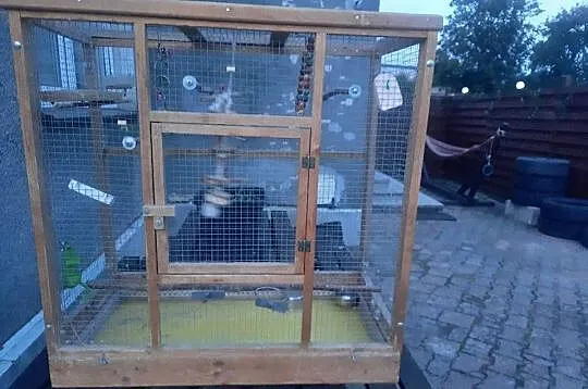 Sprzedam klatki dla ptaków, Pomorskie, Reda
