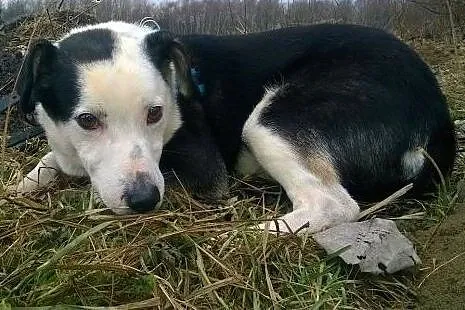 Gryfin - świat zapomniał o schowanym w zimnej budz