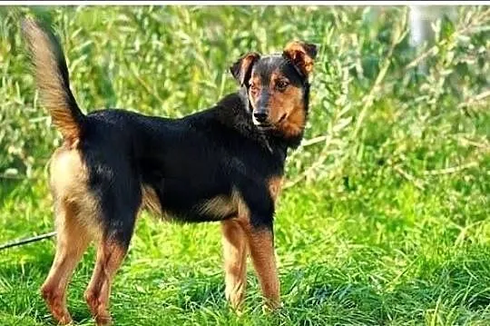 Kto mnie przygarnie...?