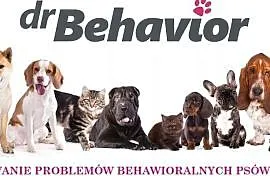 Behawiorysta psów i kotów Treningi Terapia behawio, Zgorzelec