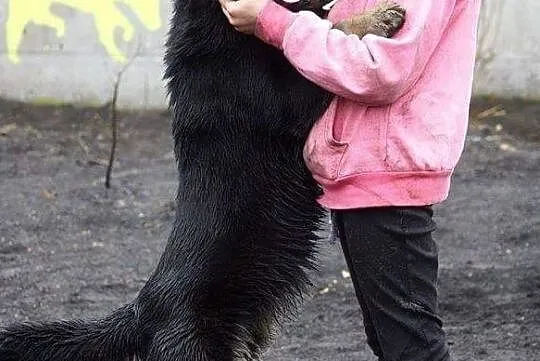 Daj szansę, uratuj życie!, Łódzkie, Łódź