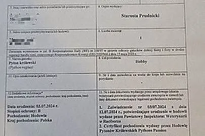 Pyton Królewski, Opolskie, Prudnik