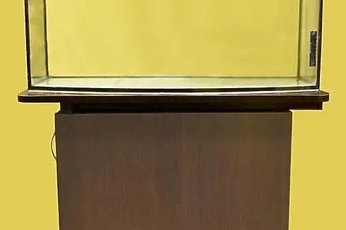 Akwarium z pełnym wyposażeniem i szafką, Dolnośląskie, Jelenia Góra