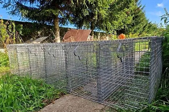 Klatka dla królika